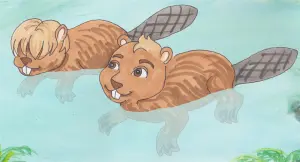 beavers swimming